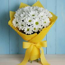 Букет цветов из:  Хризантемы в Волово