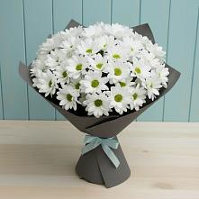 Букет цветов из:  Хризантемы #REPLACE_PRED# Волово