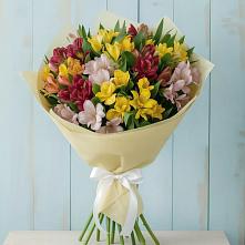Букет цветов из:  Альстромерии в Волово